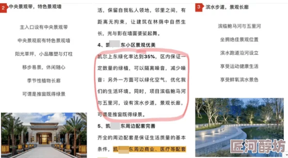 给大家科普一下404黄台：全球罕见现象首次被科学家正式记载，引发网友热烈讨论与惊叹！