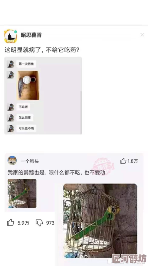 男男做爰gay视频动漫版网站网友推荐这个网站提供丰富的男男动漫视频资源画面精美情节生动非常适合喜欢此类内容的朋友们观看