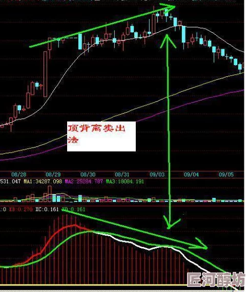 失心疯第六章攻略：解锁时钟谜题的关键步骤与最新消息