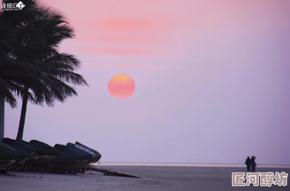 假日海滩日出拍摄与观赏攻略大全集高清版详解视频下载及新景点推荐