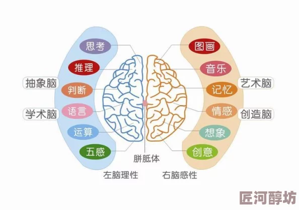 张开腿尿给你h最新研究表明，人类行为与环境变化之间的关系日益复杂化