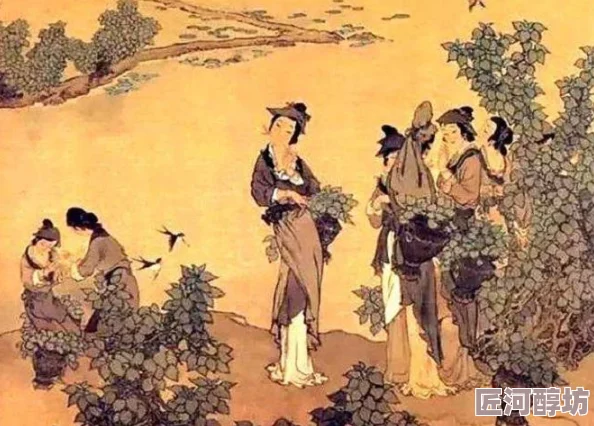 女人做爰的全部过程图最新消息科学研究揭示女性性反应周期各阶段的生理变化及心理感受