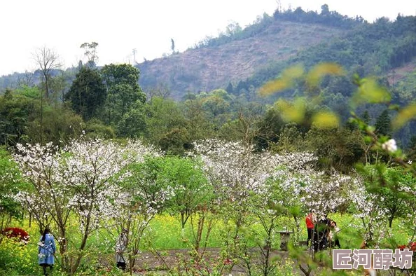 上吧小乔游戏今日开服预告：每日新区开放时间及详细时间表公布