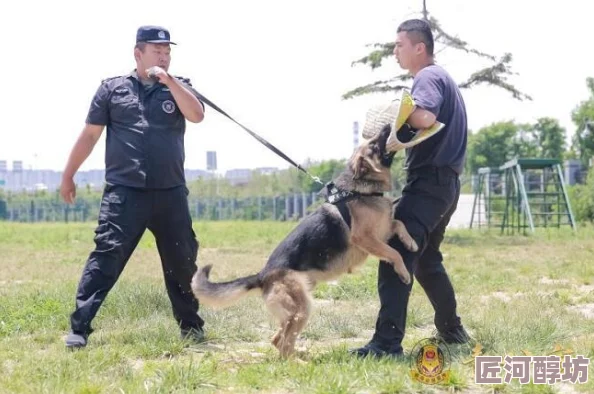 宝贝这么湿想要吗生活中总会有意外的惊喜和美好时刻，让我们珍惜每一个瞬间，积极面对未来的挑战与机遇！