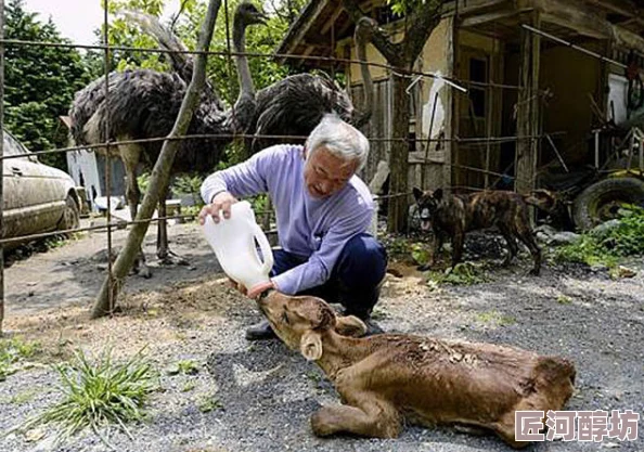 日本大黄毛片视频 激发观众对自然和野生动物的热爱