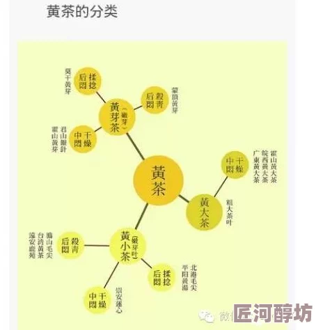 亚洲第一黄色视频在传播文化与艺术方面发挥了积极作用，促进了不同国家之间的交流与理解，展现了多元化的视角与创意