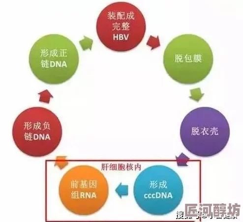 欧美人与物杂交p最新研究揭示了这种现象背后的科学原理及其对生态系统的影响