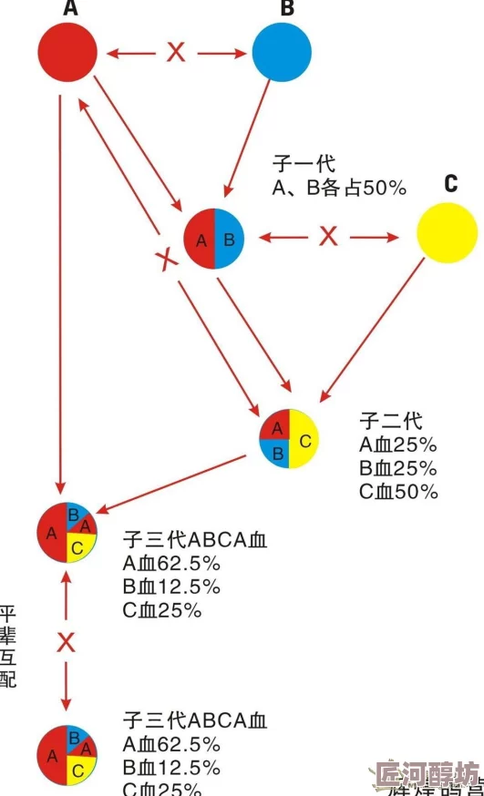 欧美人与物杂交p最新研究揭示了这种现象背后的科学原理及其对生态系统的影响