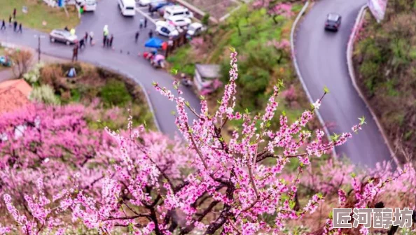 桃花AAA视频明星出轨丑闻曝光