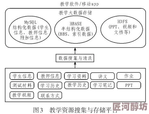 吞鲸技能伤害深度剖析：金蛇刺套路实战应用与伤害优化策略分析