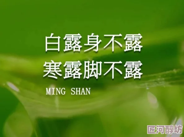 你好大这句看似简单的问候语其实蕴含着丰富的文化内涵和幽默感在中国传统中人们常用夸张的方式来表达亲切和友好通过这种方式拉近彼此的关系增进感情同时也体现了语言的灵活性和趣味性