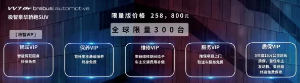 航海王强者之路深度解析：置换系统玩法全攻略，揭秘伙伴高效置换技巧