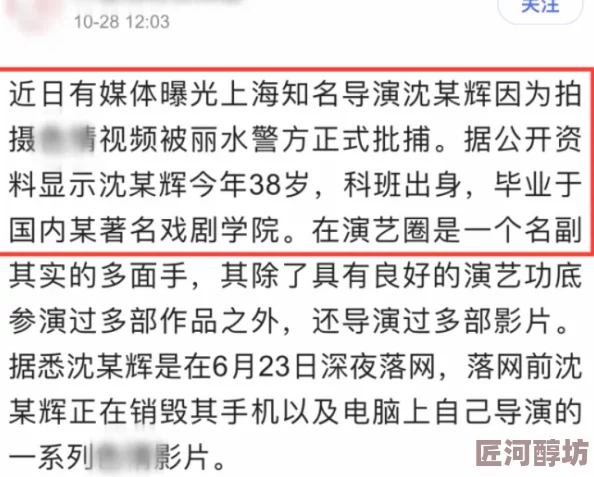 二级黄色片子指的是在中国大陆地区被归类为较低级别的成人影视作品，通常含有轻微的性暗示或情色内容，但不涉及露骨的性行为或过度暴露