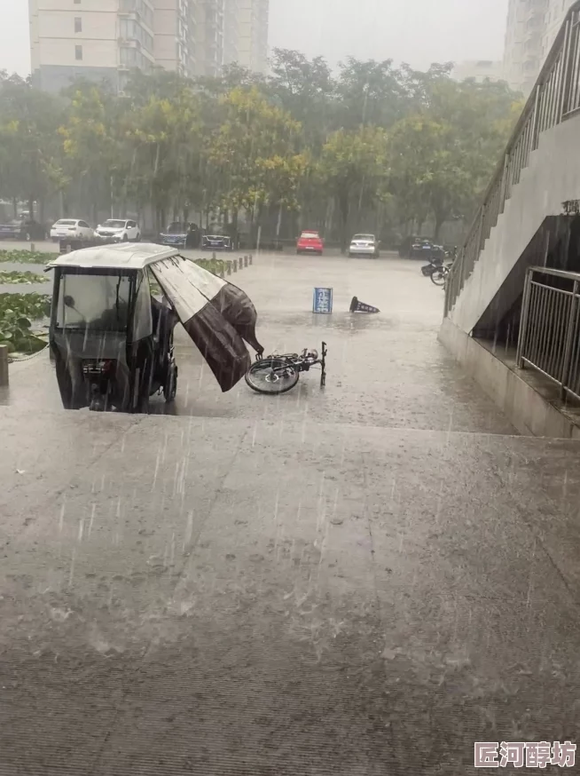 与讨厌上司出差遇暴雨天气恶劣心情更糟糕