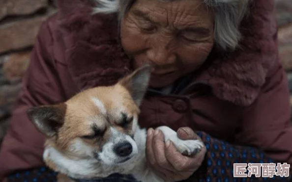 阴阳师手游跳跳犬悬赏任务攻略：刷新地点大全及高效刷取跳跳犬位置指南