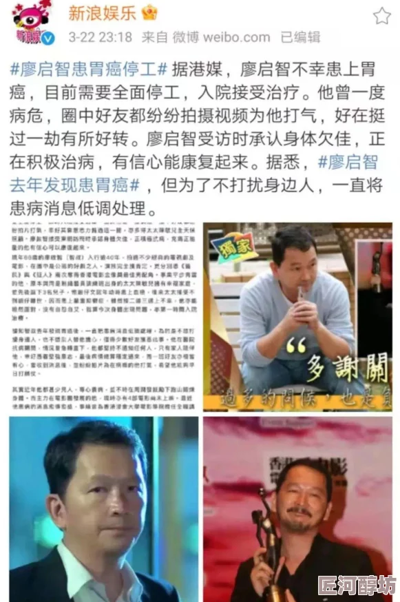 深度解析：梦幻西游无双版英雄大会篇，杀破狼角色技能与战术全面分析指南