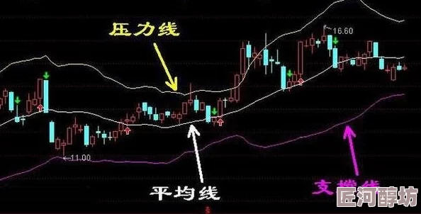 普陀山助战伙伴精准定位与高效搭配策略深度分析解读