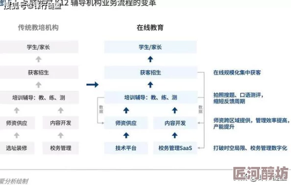 深度剖析：御龙在天手游物理系职业优缺点全面分析报告