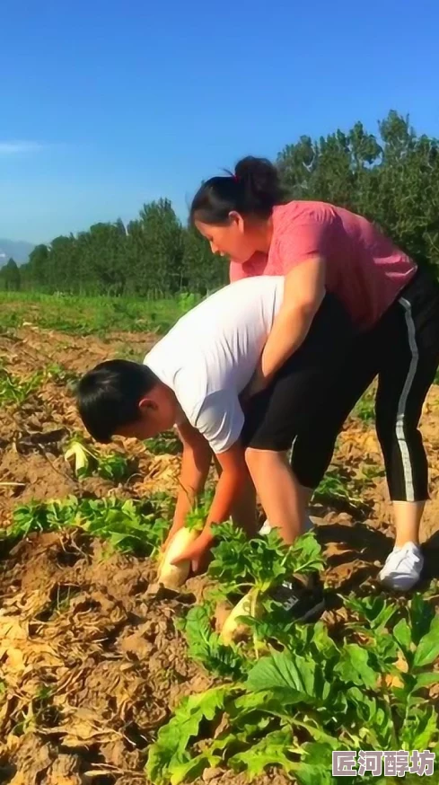 二人世界拔萝卜广告这则广告通过幽默的方式展示了夫妻间的默契与合作