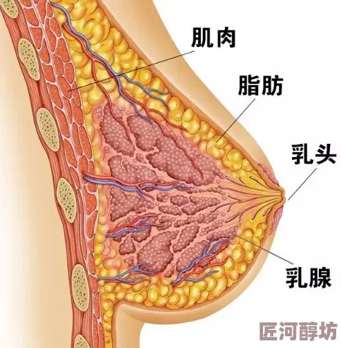 感受到它在你身体里变大了吗科学家发现新型细胞增殖机制或将改变医学研究方向