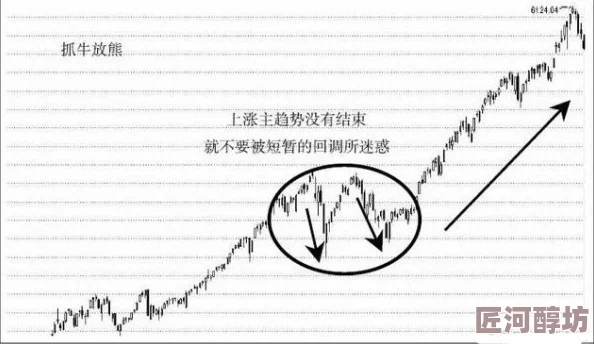 独家揭秘：跟着音符律动，体验节奏大爆炸核心玩法全面曝光！