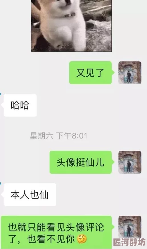 高情商女生撩男生的聊天记录三只松鼠之松鼠小镇携手共创美好未来传递快乐与友爱