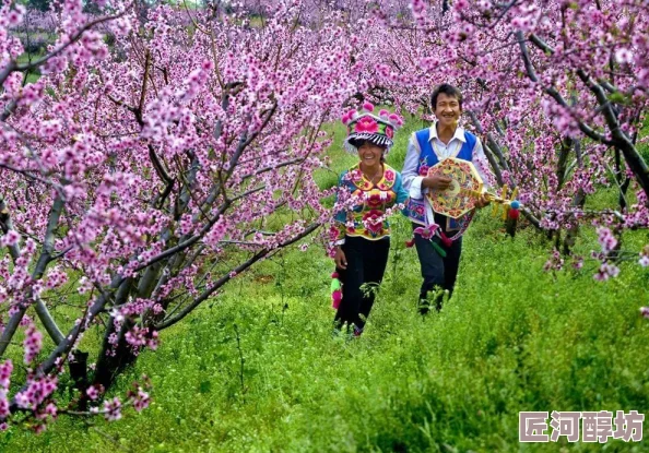 小村春色txt在线看春天的花开得特别美丽，村民们忙着采摘新鲜的蔬菜和水果