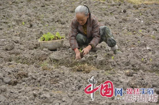 给农村岳肚子播种播种希望收获未来让每一寸土地都充满生机与活力