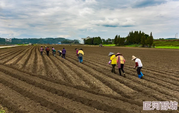 给农村岳肚子播种播种希望收获未来让每一寸土地都充满生机与活力