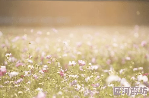 看了会湿心情愉悦生活充满阳光积极向上勇敢追梦