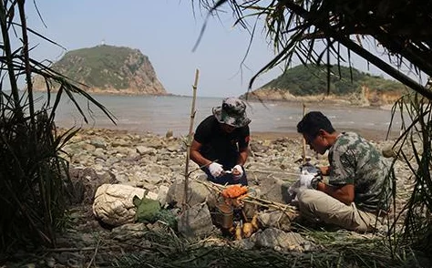 老湿地影视体验区我和七个女神流落荒岛携手共进勇敢追梦创造美好未来