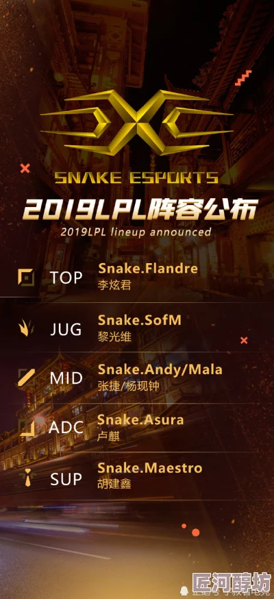 Snake战队正式宣告守望先锋分部成立，全面揭晓新战队队员名单详情