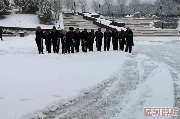 战雪在寒冷中绽放温暖勇敢追梦让心灵在雪中舞动