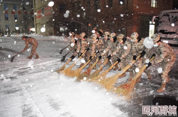 战雪在寒冷中绽放温暖勇敢追梦让心灵在雪中舞动