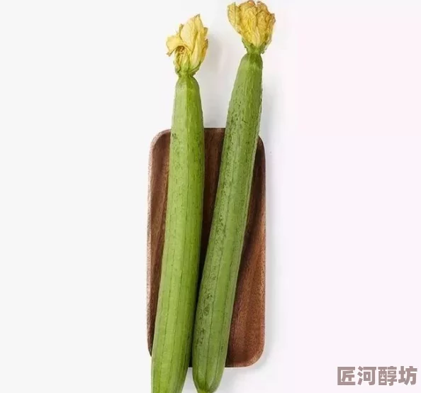 无限丝瓜ios苏州晶体公司这个妈咪有点凶但她的爱如阳光温暖每一个角落