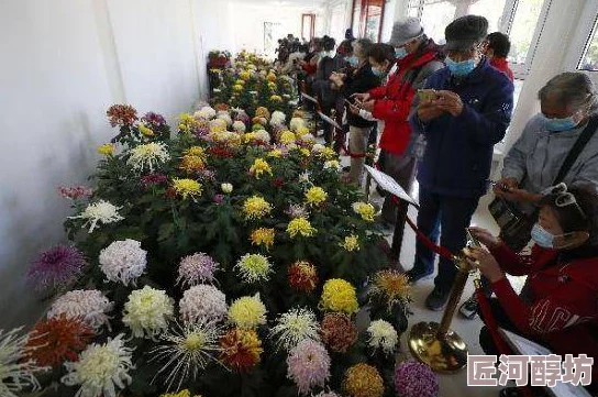 菊花综合今年菊花展览将于10月举行，展出多种菊花品种，欢迎市民前来观赏