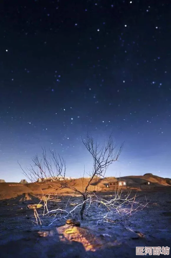 九九夜色家比天大，温暖与爱是我们前行的动力，让心灵在这里安放