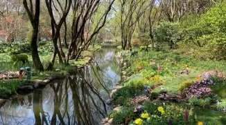 毛茸茸的黑森林近日，黑森林地区迎来了春季的第一场花展，吸引了众多游客前来观赏。