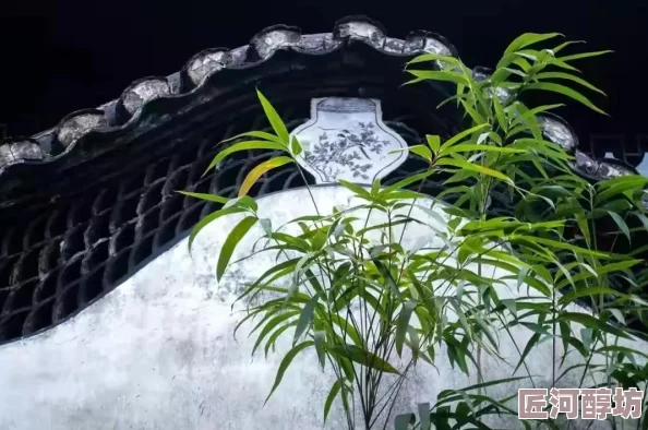 怪物猎人新揭秘：眠与麻技能大比拼，惊喜消息！哪个竟能解锁隐藏任务？