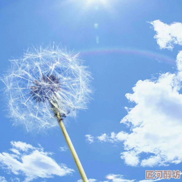 第色残酷的夏日阳光总在风雨后希望与勇气伴你前行