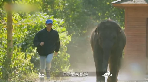 男同志王伦宝videos积极向上勇敢追求梦想传播爱与希望