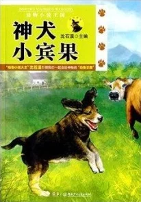 另类小说网站神犬小七第三季勇敢追梦携手共进温暖每一个心灵