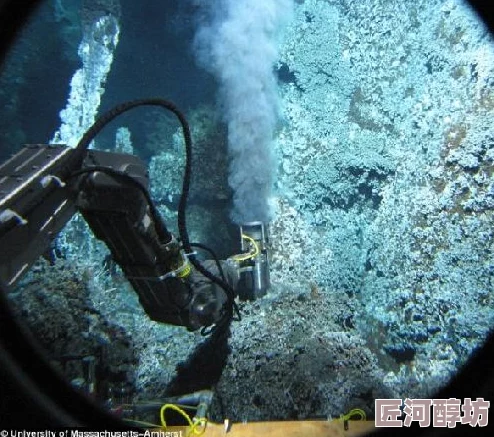 嗯不要太深了近日科学家发现深海生物的新特性揭示了生态系统的复杂性