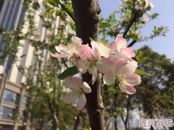 教官h文雨季让我们在细雨中感受生命的滋润与希望的绽放