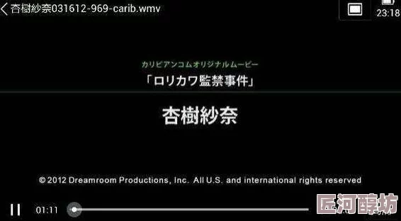 看一下黄色录像资源加载中预计还需要15秒请耐心等待