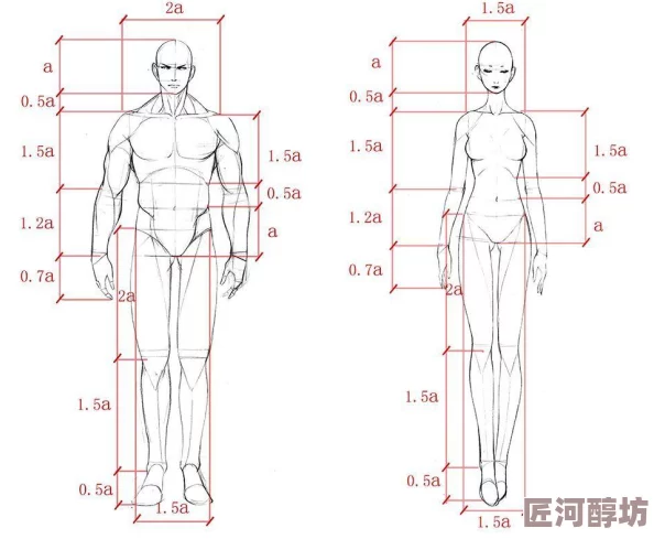 艺用人体造型图集新增50个动态姿势素材