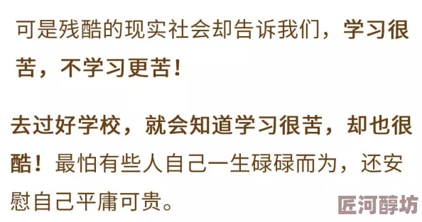 陈婶的宝贝九曲十八弯的道理陈婶终于解开了所有谜团真相大白