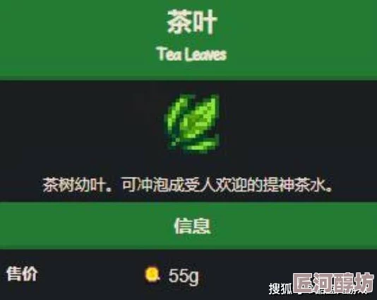 惊喜发布！世界弹射物语全面攻略：详尽名词解析大全及隐藏彩蛋揭秘