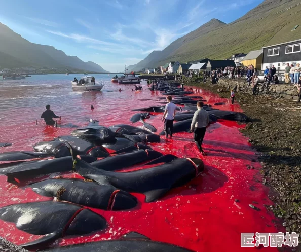 每晚都被他添的喷水努力追求梦想，积极向上，生活充满希望与快乐