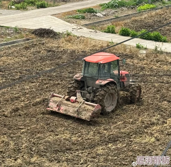 图片瘦身是什么意思啊拖拉机承载的爱情用心耕耘收获幸福与希望